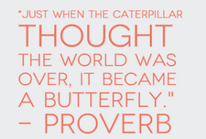 Screen Shot 2016-05-25 at 15.18.02